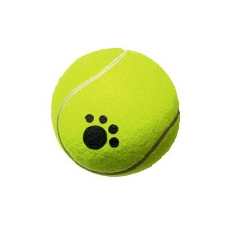 pelota-de-tenis-para-perro.jpg