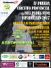 CartelpadelPremium2017.jpg